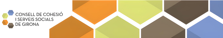 Consell de Cohesió i Serveis Socials (CCSS)