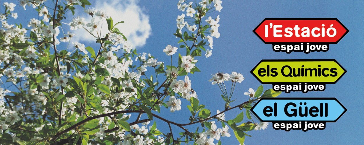 Activitats de primavera als Espais Joves. 