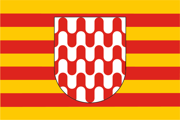 Bandera oficial de Girona aprovada per l'Institut d'Esdudis Catalans