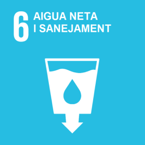 Objectiu 6. Aigua neta i sanejament
