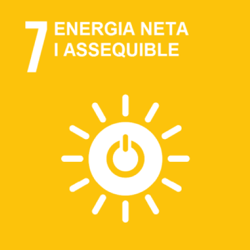 Objectiu 7. Energia neta i assequible