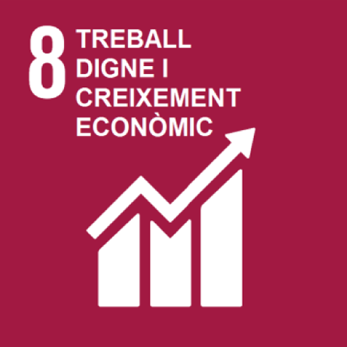 Objectiu 8. Treball digne i creixement econòmic