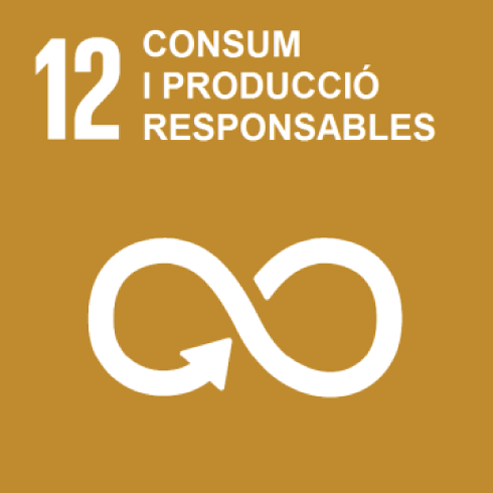 Objectiu 12. Consum i producció responsable