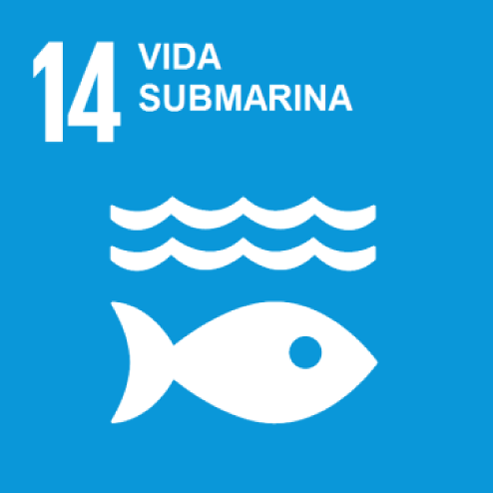 Objectiu 14. Vida submarina
