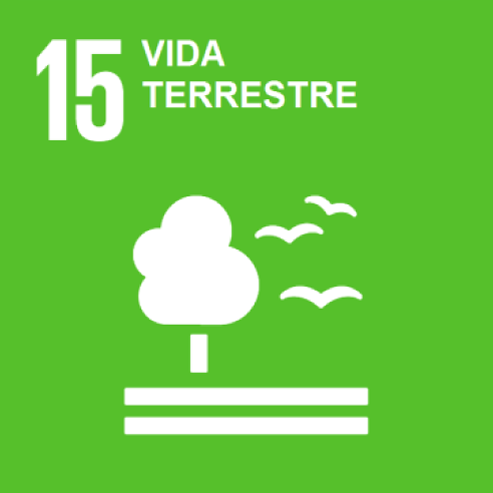 Objectiu 15. Vida d'ecosistemes terrestres