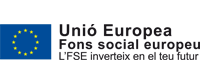 Fons Social Europeu (FSE)